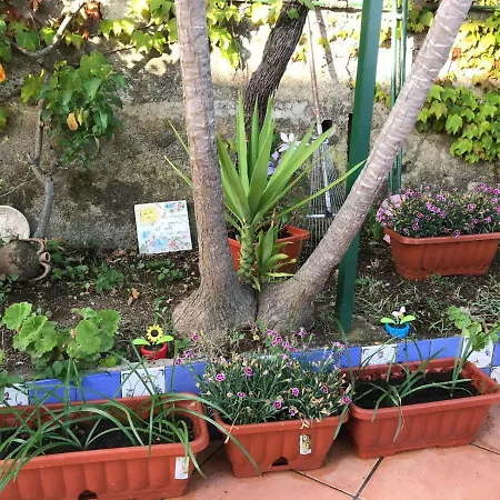 Panoramico Parco Dei Ciliegi Mezzatorre San Mauro Cilento Lägenhet *