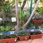 Panoramico Parco Dei Ciliegi Mezzatorre San Mauro Cilento 아파트 *